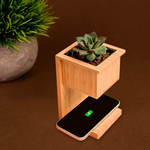 succulent charging station Alder Wireless Charger with Planter – Wangari